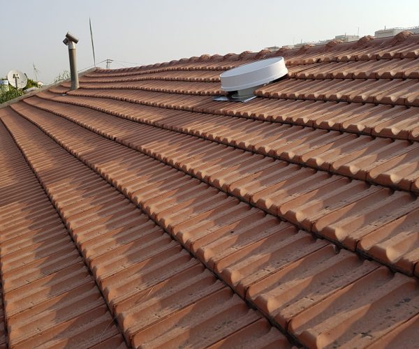 משפ אליצור שוהם (7)